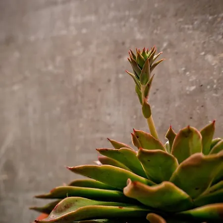 Loft Labourdette Apartmán Marseille